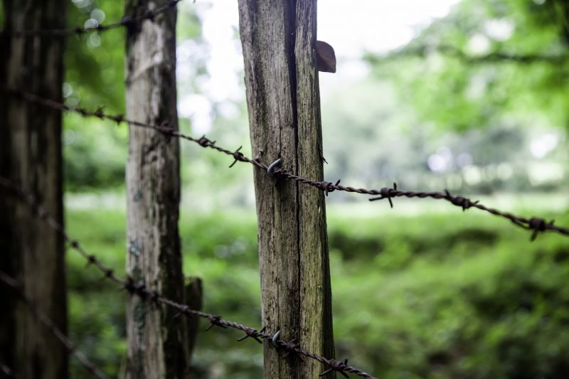 Barbed Wire Fence Repair