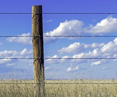 Barbed Wire Fence Repair