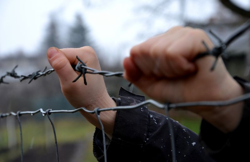 Barbed Wire Fence Repair