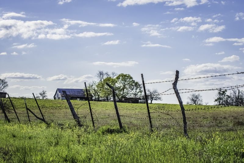 Barbed Wire Fence Repair